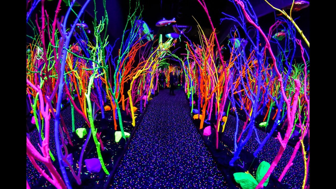 Meow Wolf POV Walkthrough // Santa Fe, NM