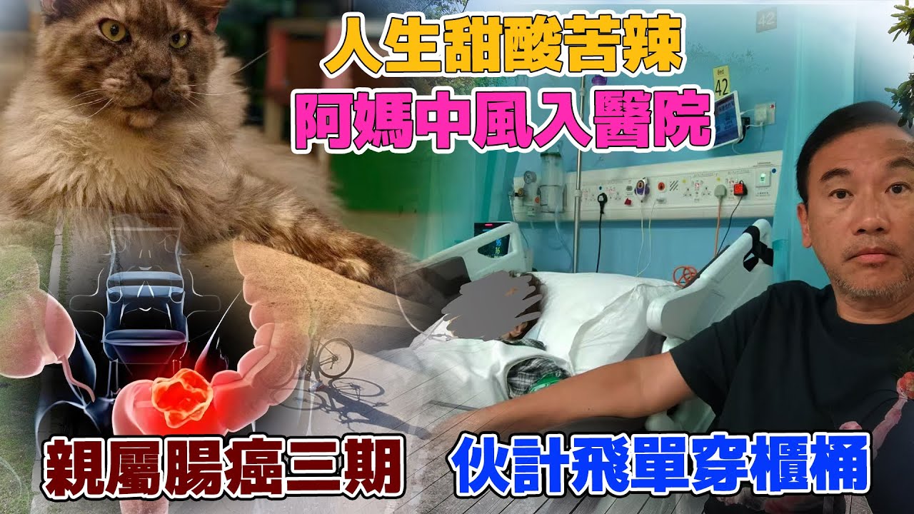 絕招化解困境[踩單車人生論][抽離事發現場]