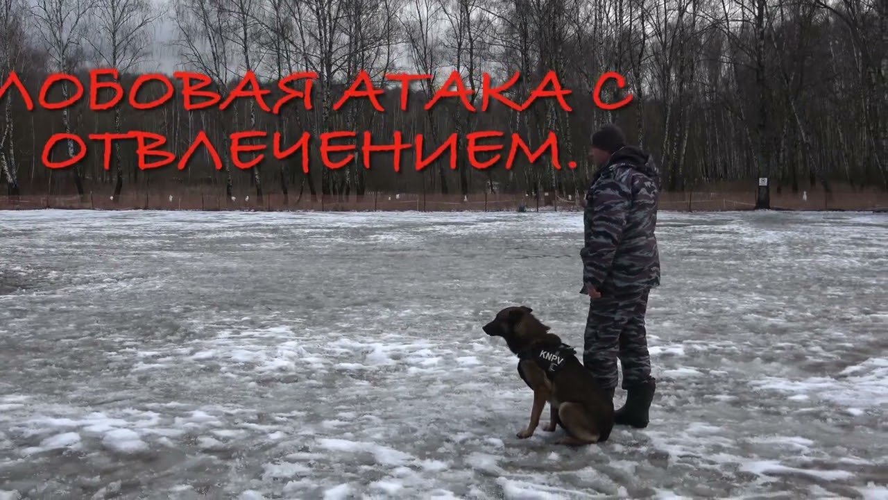 Андрей Чаадаев, Деймос + Игорь Рагозин  и усложнения в казалось бы простом нормативе ЗГС