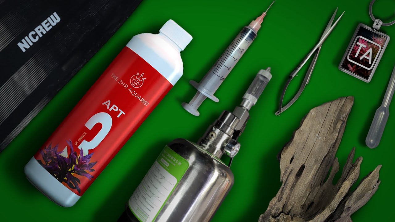 Get Ready For The Unbelievable Gift Ideas Aquarium Lovers Need to See!