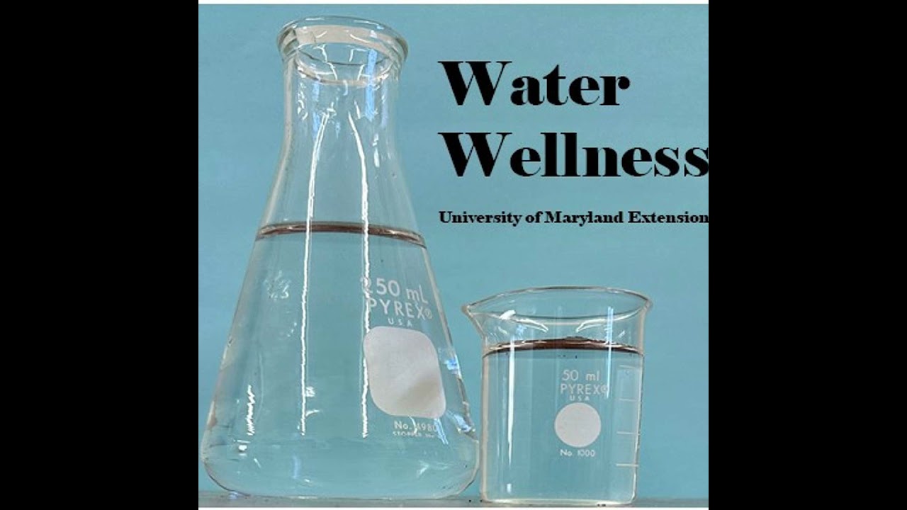 Microplastics and Nanoplastics - More prevalent in bottled water than we thought