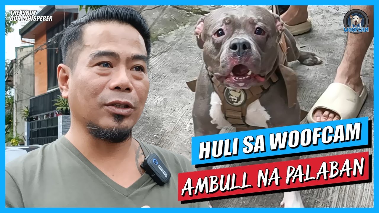 WOOFCAM: Ambull Na Palaban