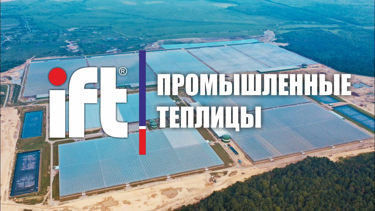 Промышленные теплицы в Узбекистане и Казахстане!