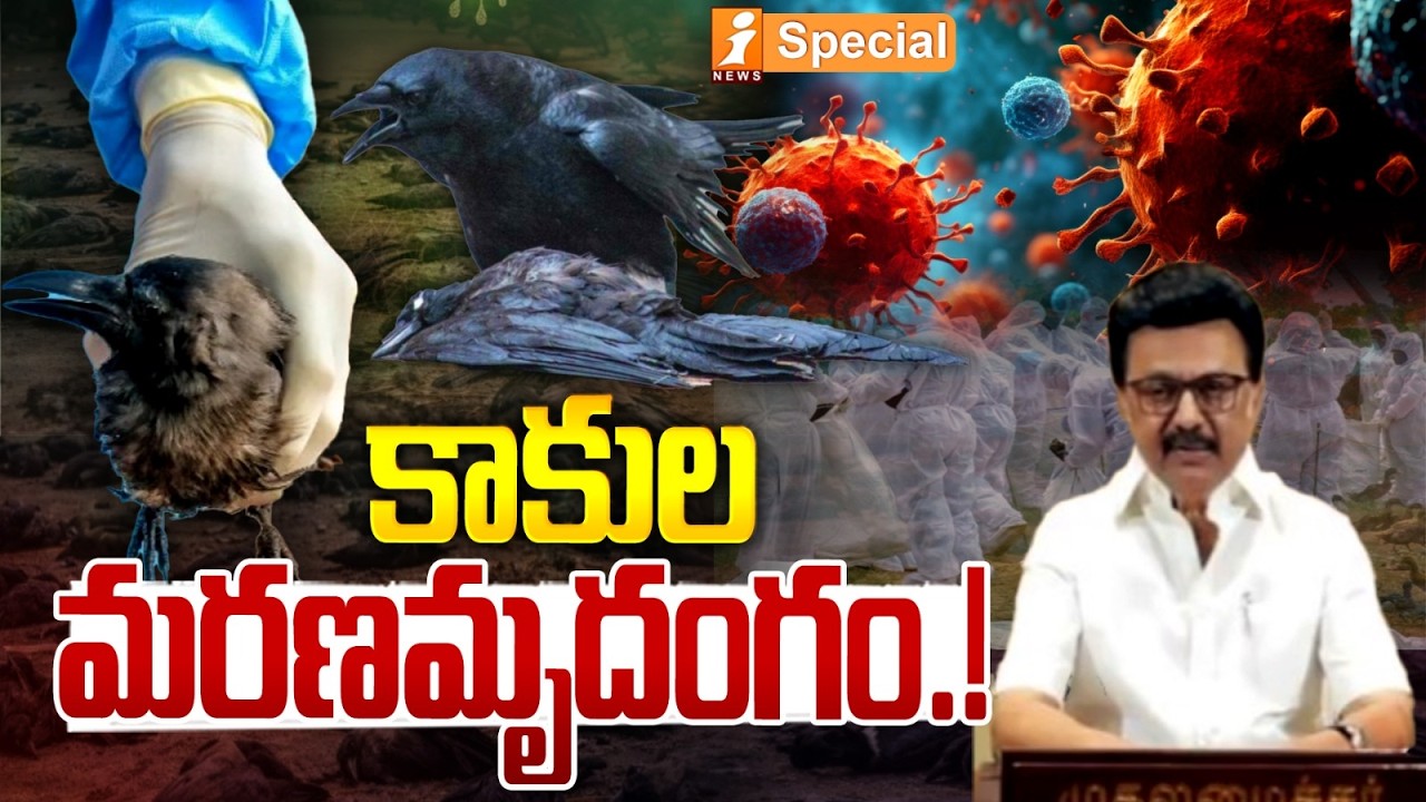 కాకుల మరణమృదంగం.! | Tamil Nadu Government Issues High Alert After Bird Flu Outbreak | iSpecial