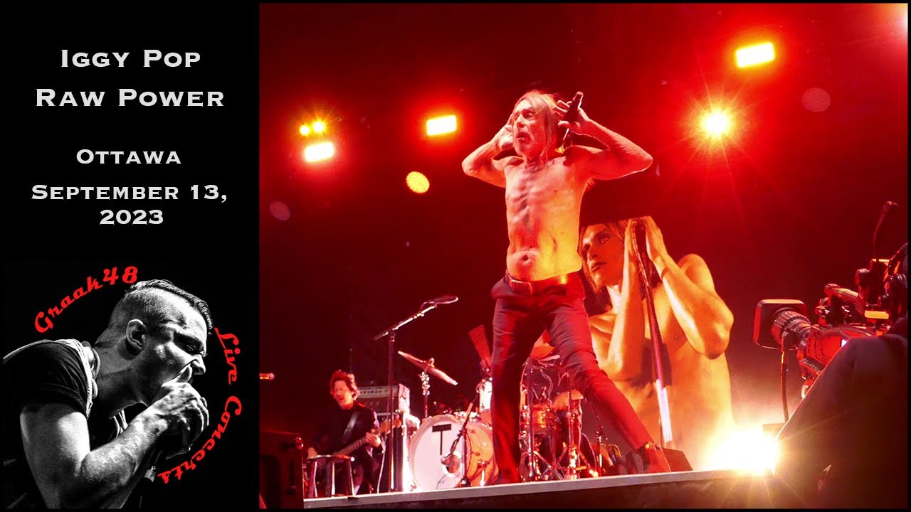 Iggy Pop - 