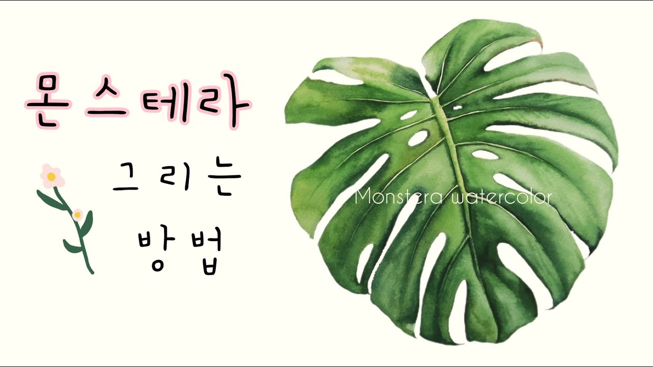[ENG] 몬스테라 수채화🌿(도안 제공) | 식물 그리는 방법 🗒 | Watercolor Painting Tutorial