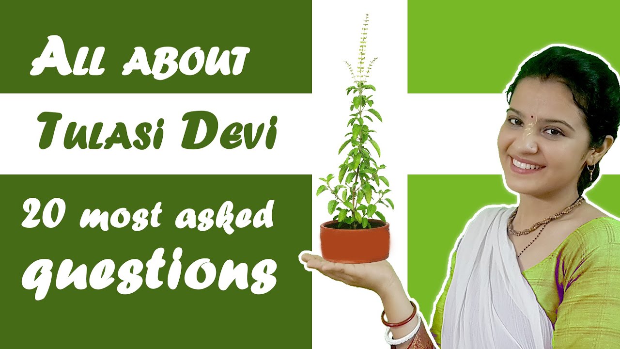 Tulsi Devi all Questions Related to Seva || 20 Questions in 10 Minutes.