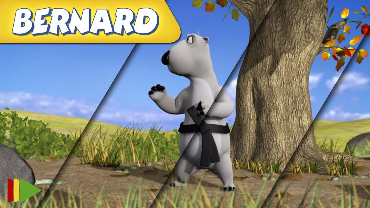 🐻‍❄️ BERNARD  | Collection 19 | Full Episodes | VIDEOS and CARTOONS FOR KIDS