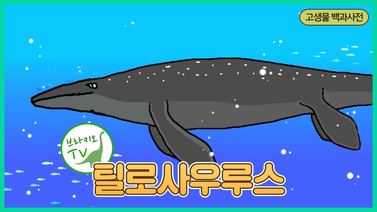 #66 틸로사우루스를 소개합니다. l 이런 화석도 있다고? l 고생물 백과사전 | Tylosaurus