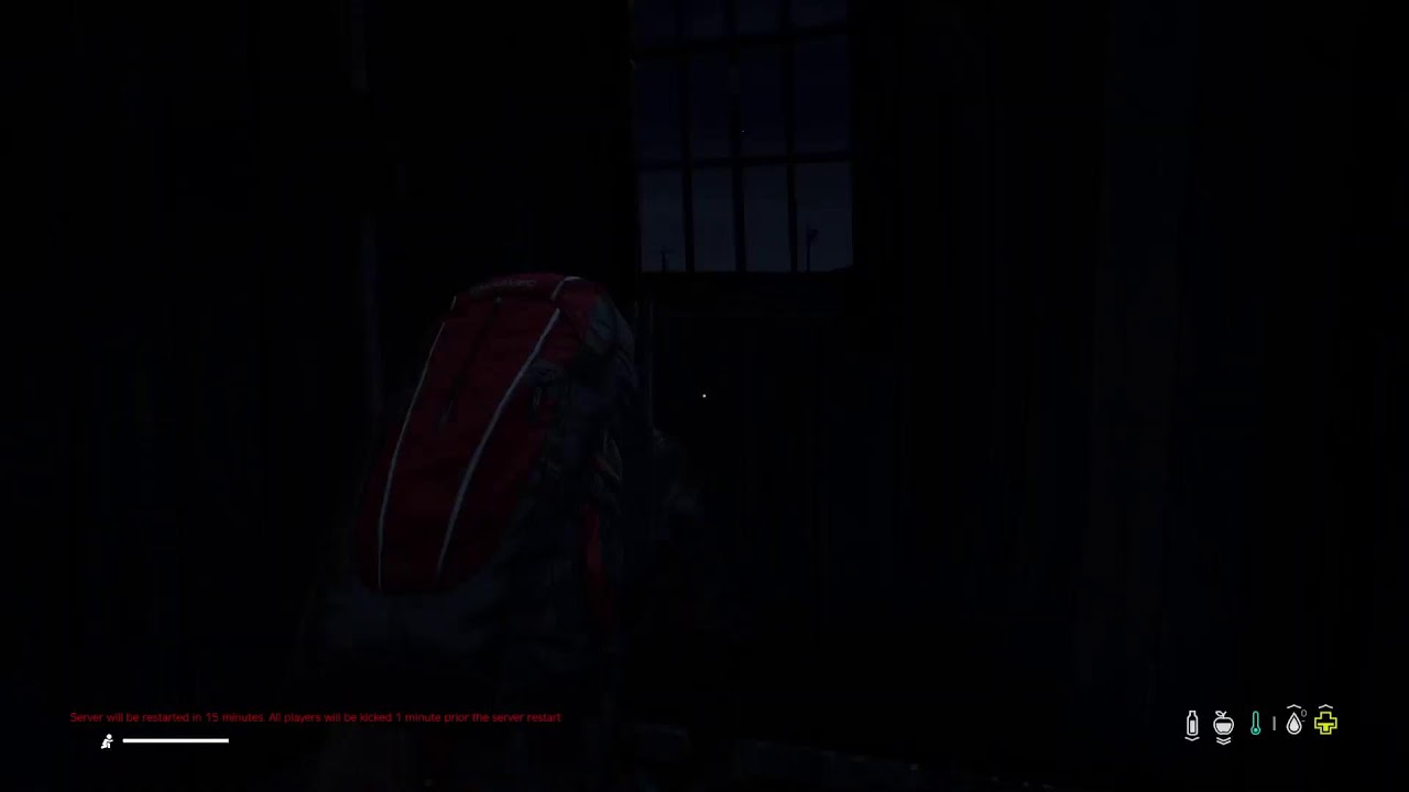 DayZ