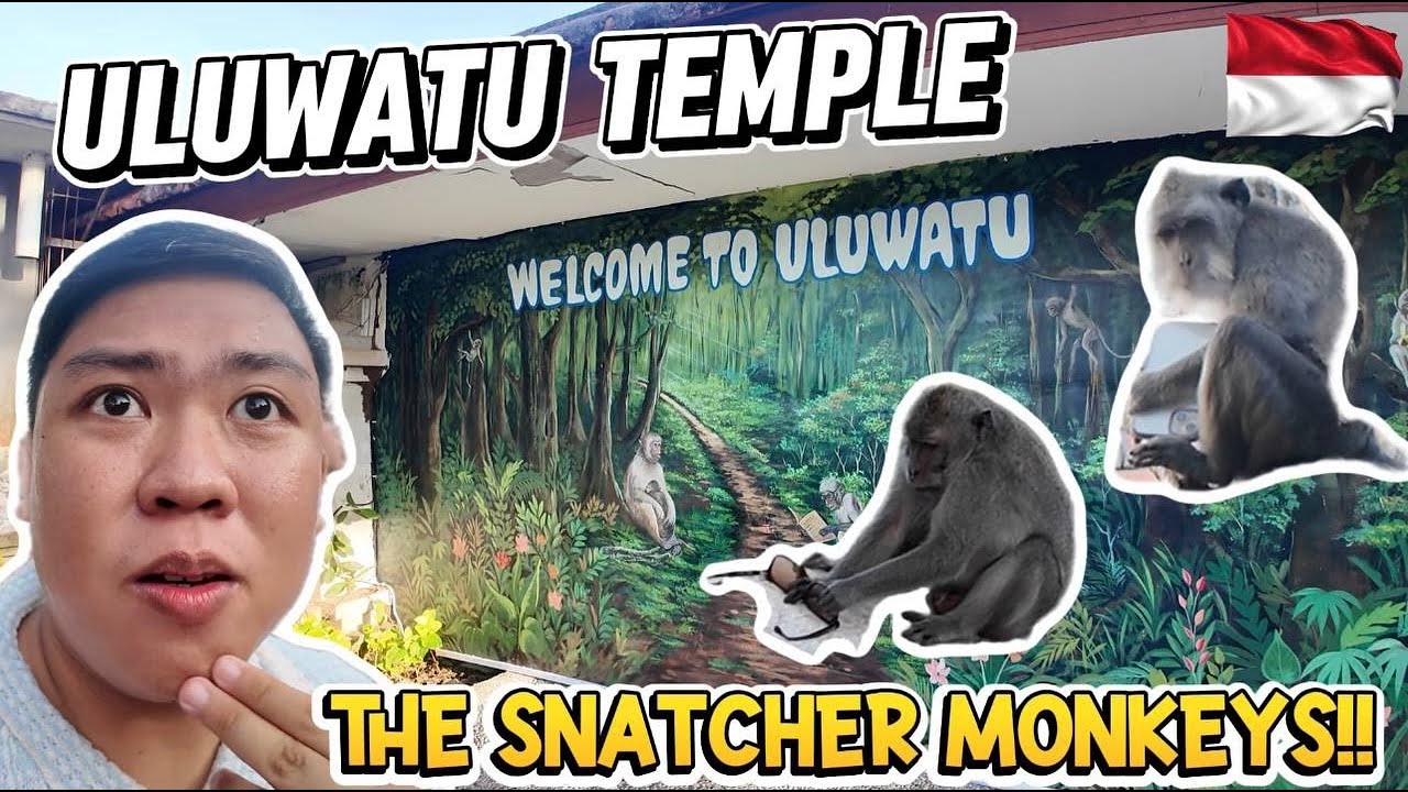 ULUWATU TEMPLE: Beware of the SNATCHER MONKEYS!! | Tanah Barak & Melasti Beach 😱🐒🌊
