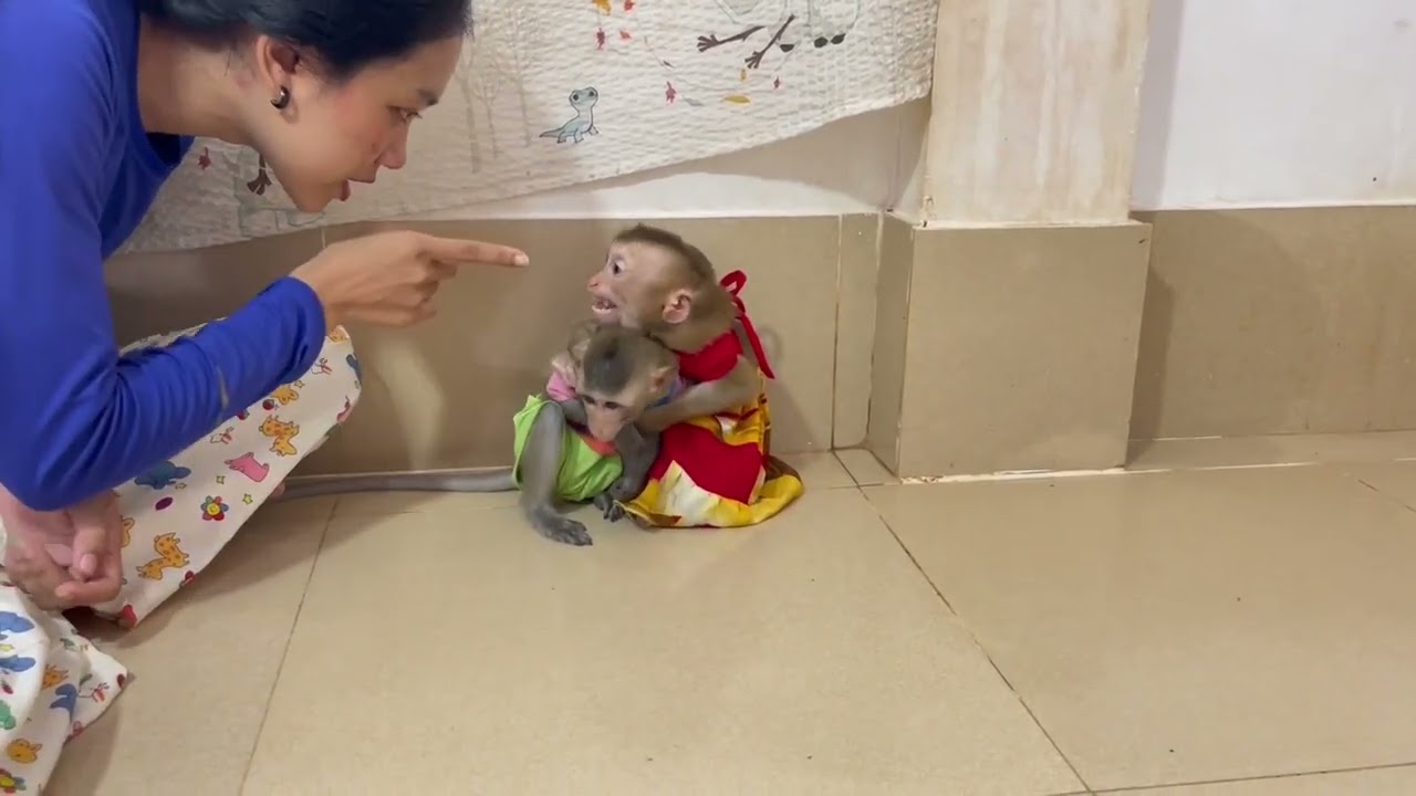 Jasmine & koy make mom anqrrii with their misstakeee 