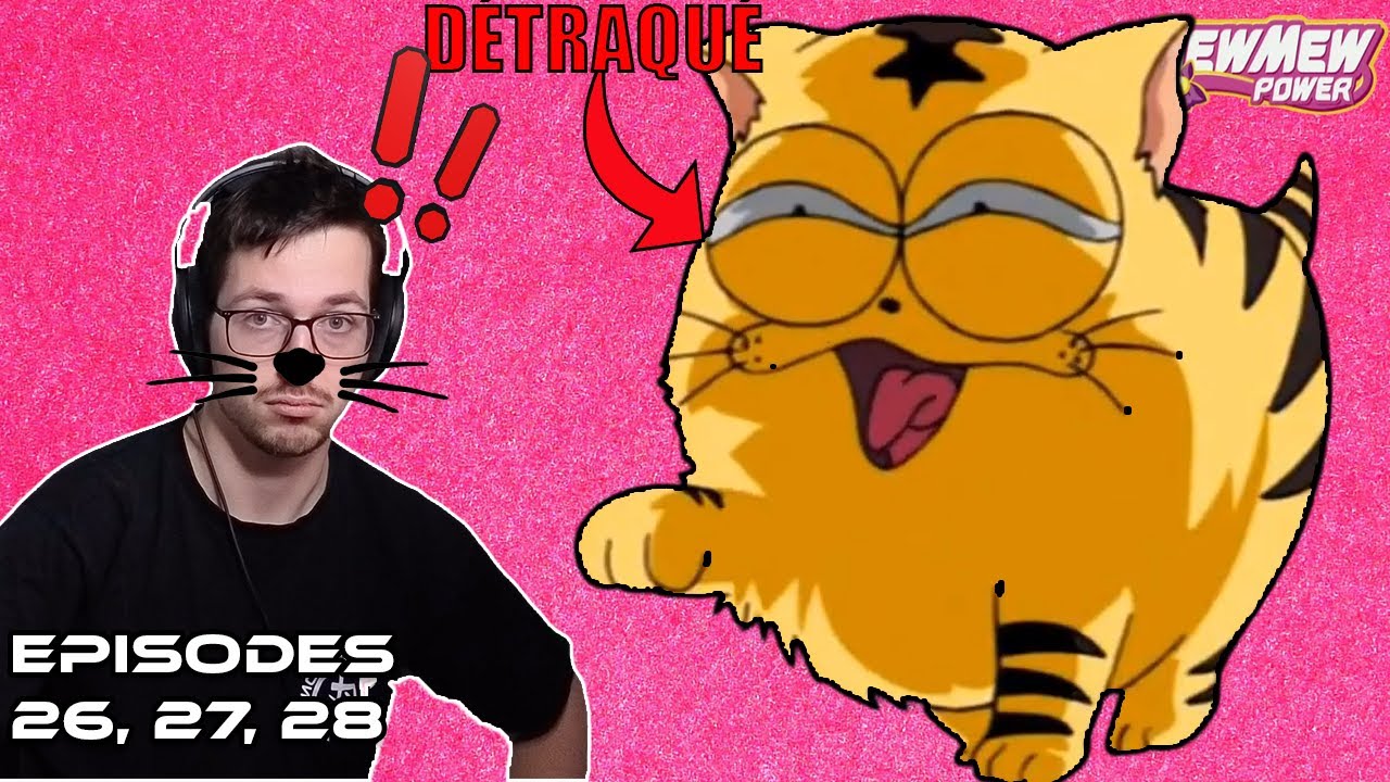 IL FAUT ENFERMER CE CHAT | Mew Mew Power épisodes 27, 28 et 29