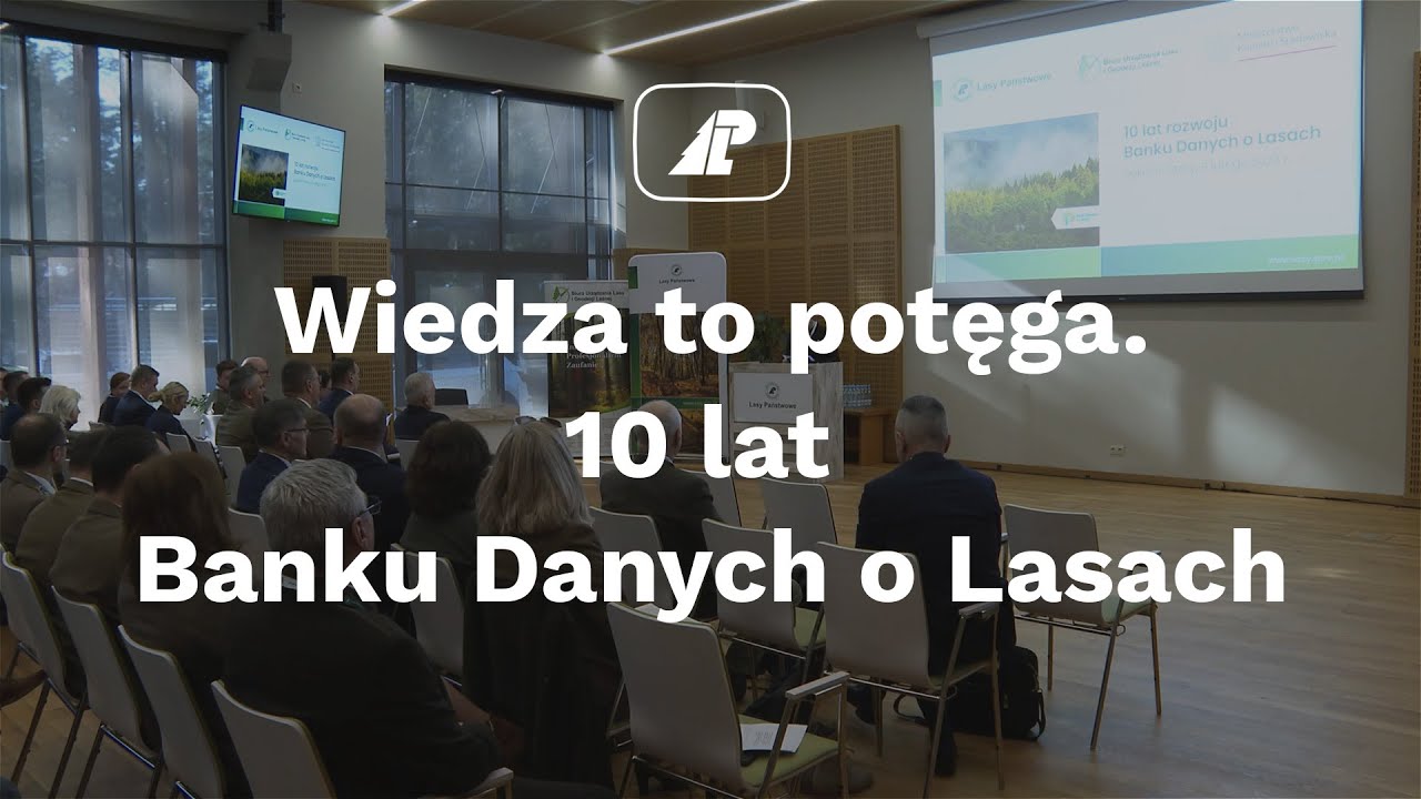 Wiedza to potęga. 10 lat Banku Danych o Lasach
