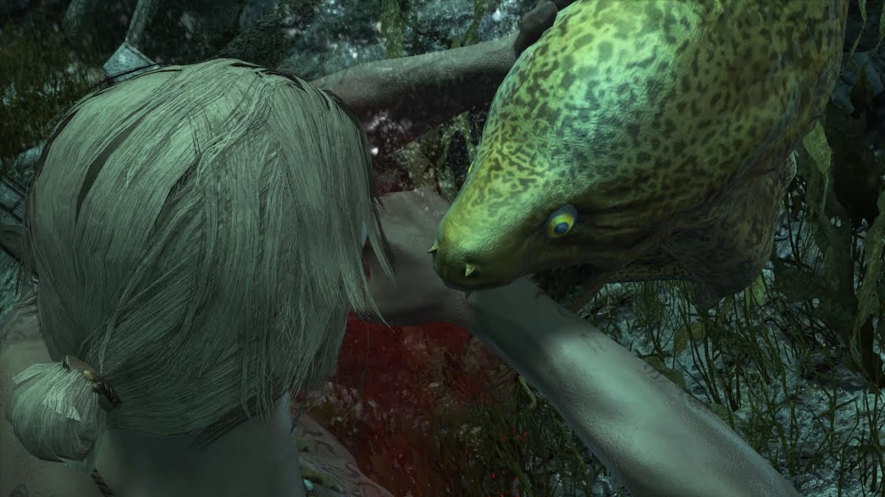 All Animal Attacks - Assassin's Creed IV: Black Flag [4K 60 FPS Max Settings]