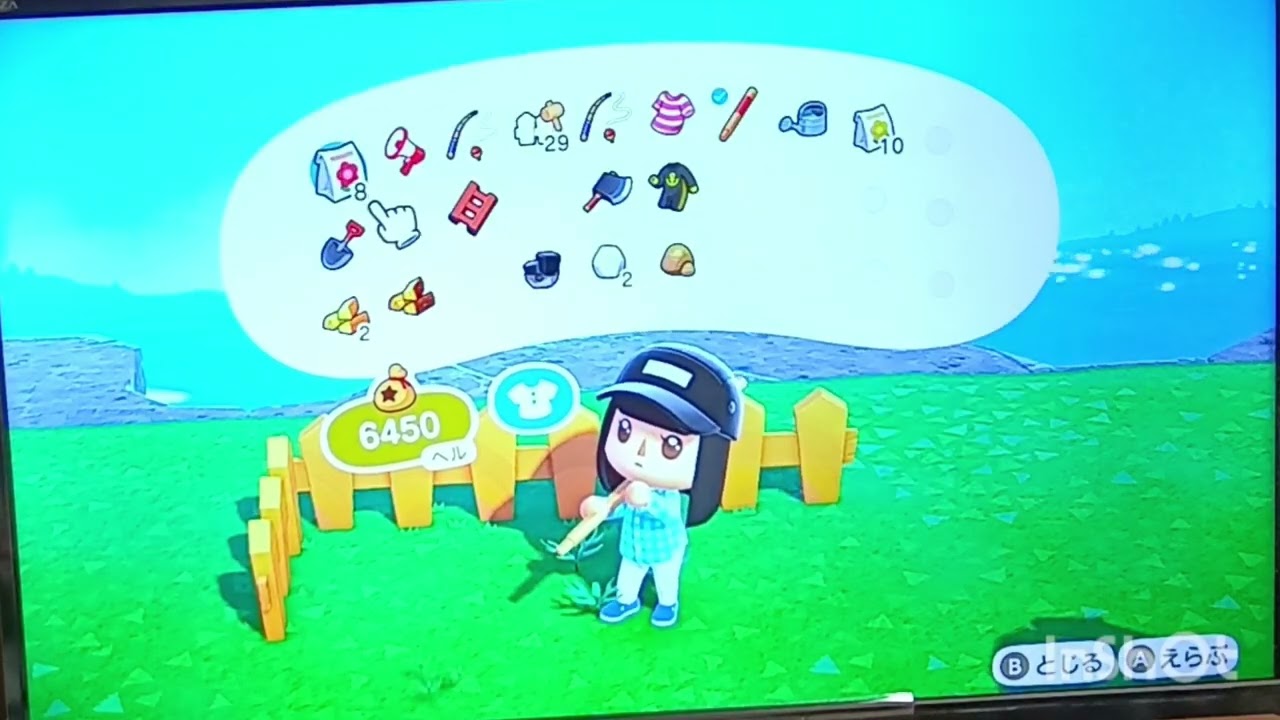【#Switch2あつまれどうぶつの森】花を水に入れてます