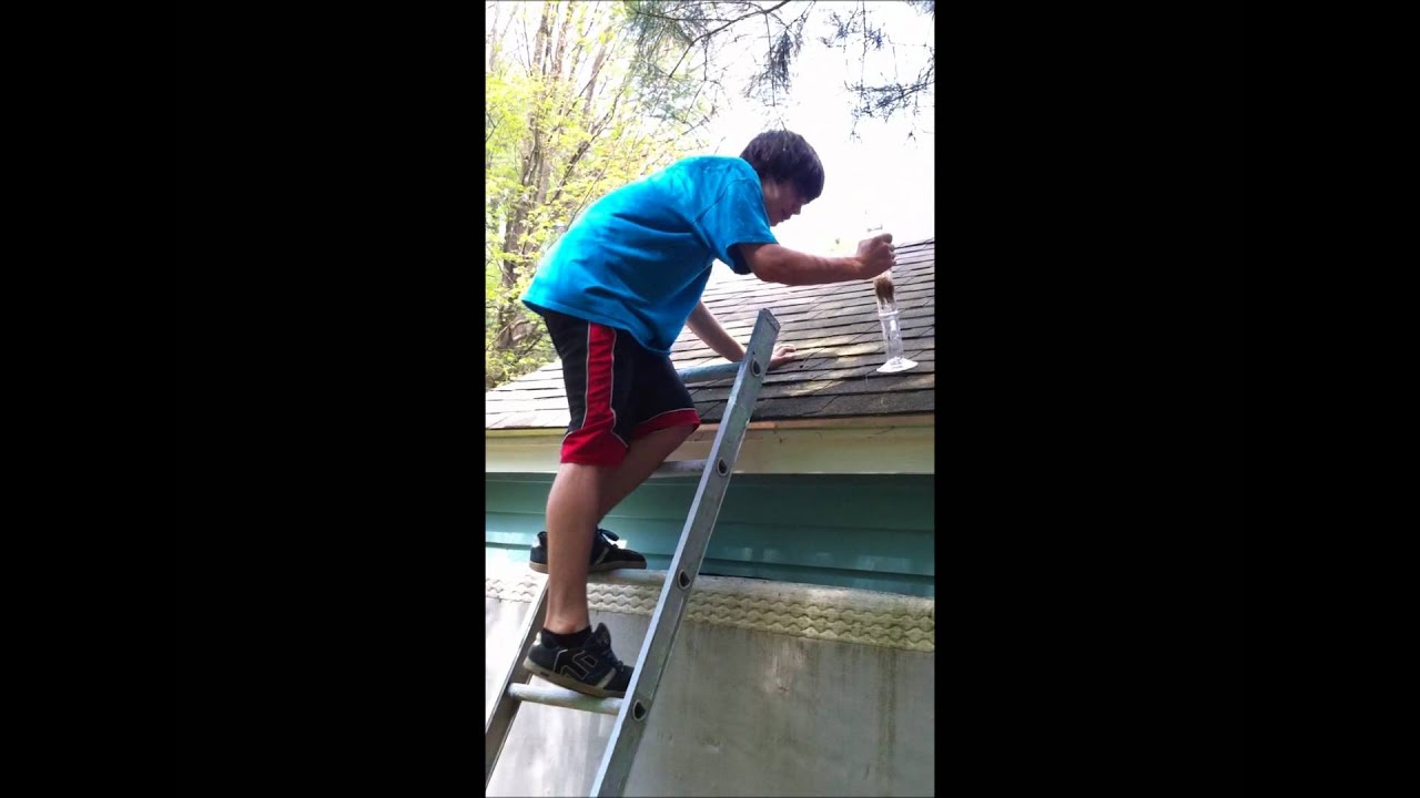 Laid to Rest : The Bong Story