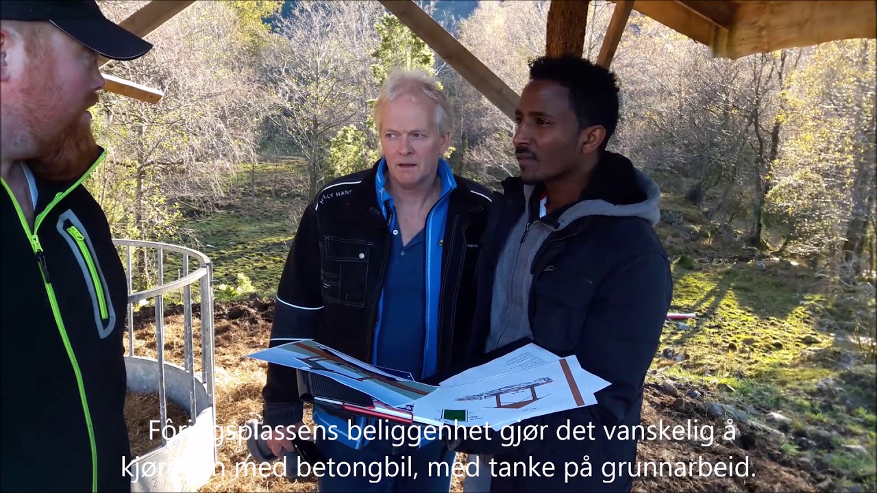 Fôringsplass i utmark for sau - Prosjekt Landskap i Drift - Tungesvik Gård