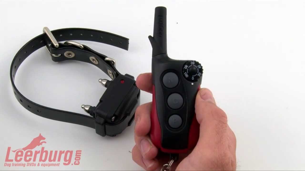 Dogtra IQ Electric Collar