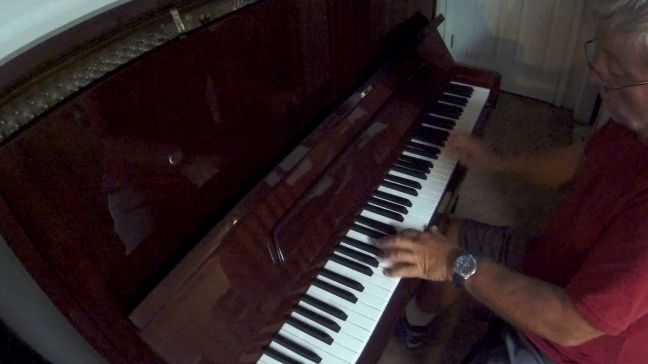 Magnificent  sounding  Petrof  professional  upright  piano