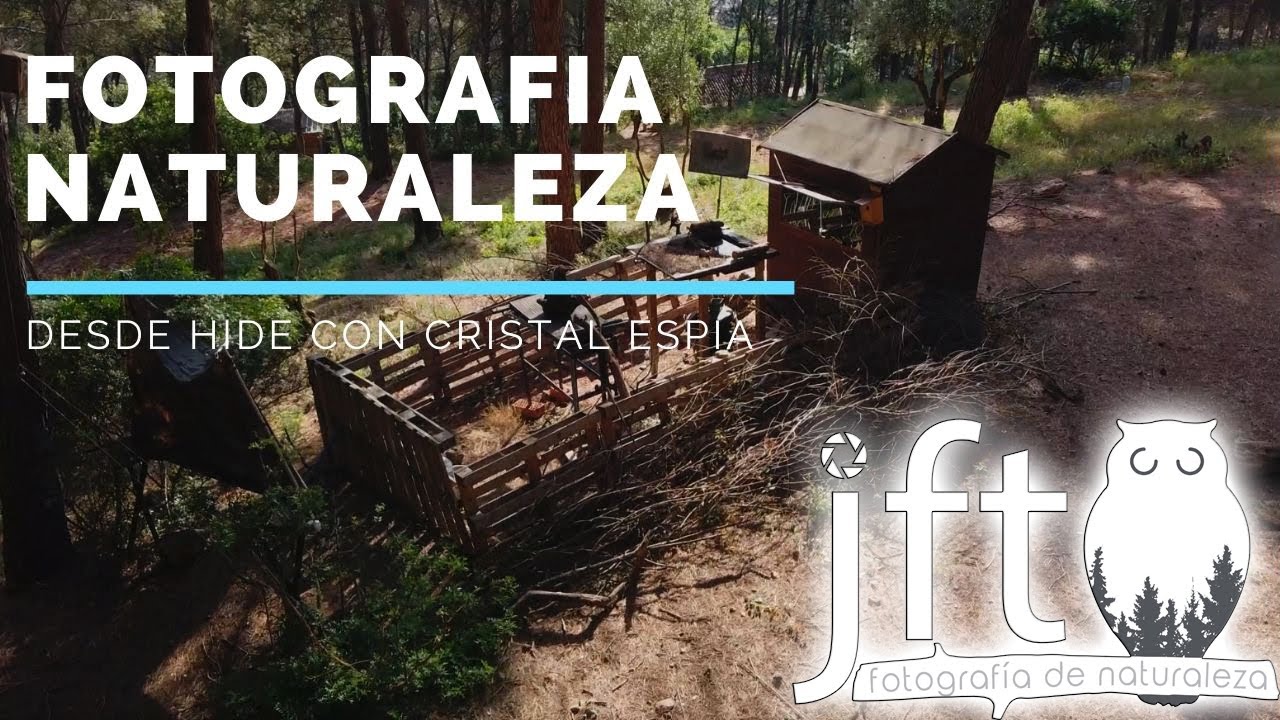 📸 HIDE CRISTAL ESPÍA 🌍 Fotografía de Naturaleza.