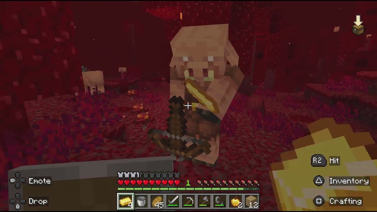 The nether