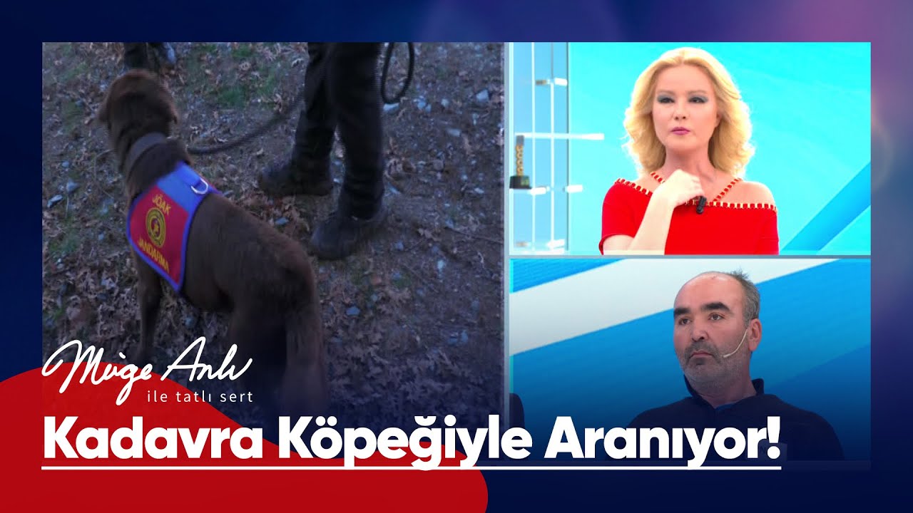 Arife Gökçe su altı kadavra köpeği Mavi ile aranıyor! - Müge Anlı ile Tatlı Sert 30 Aralık 2022