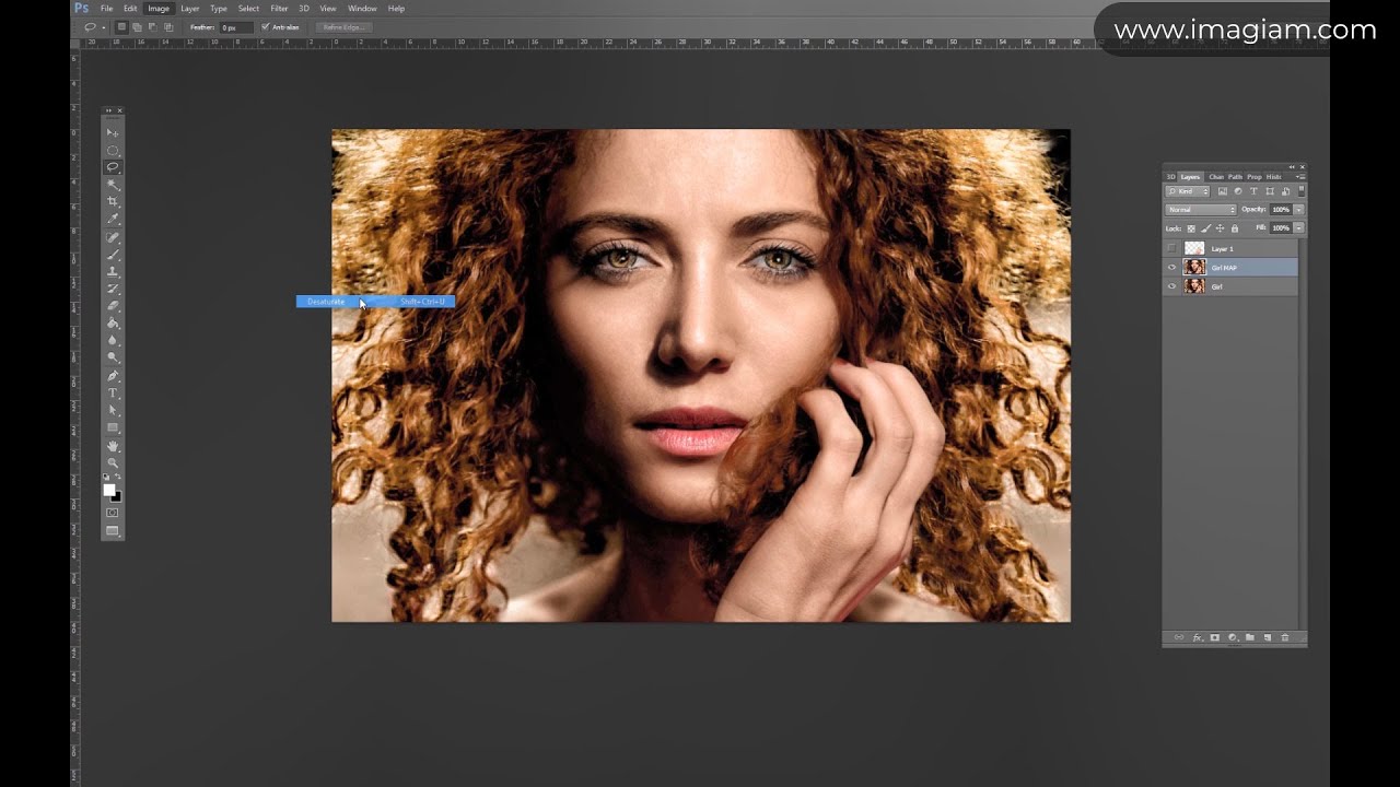 Imagiam Photorealistic 2D to 3D Lenticular Conversion Course (Demo)