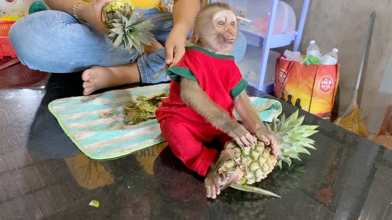 Ouch!! Baby DAM Show His Unique Reaction To Stranger