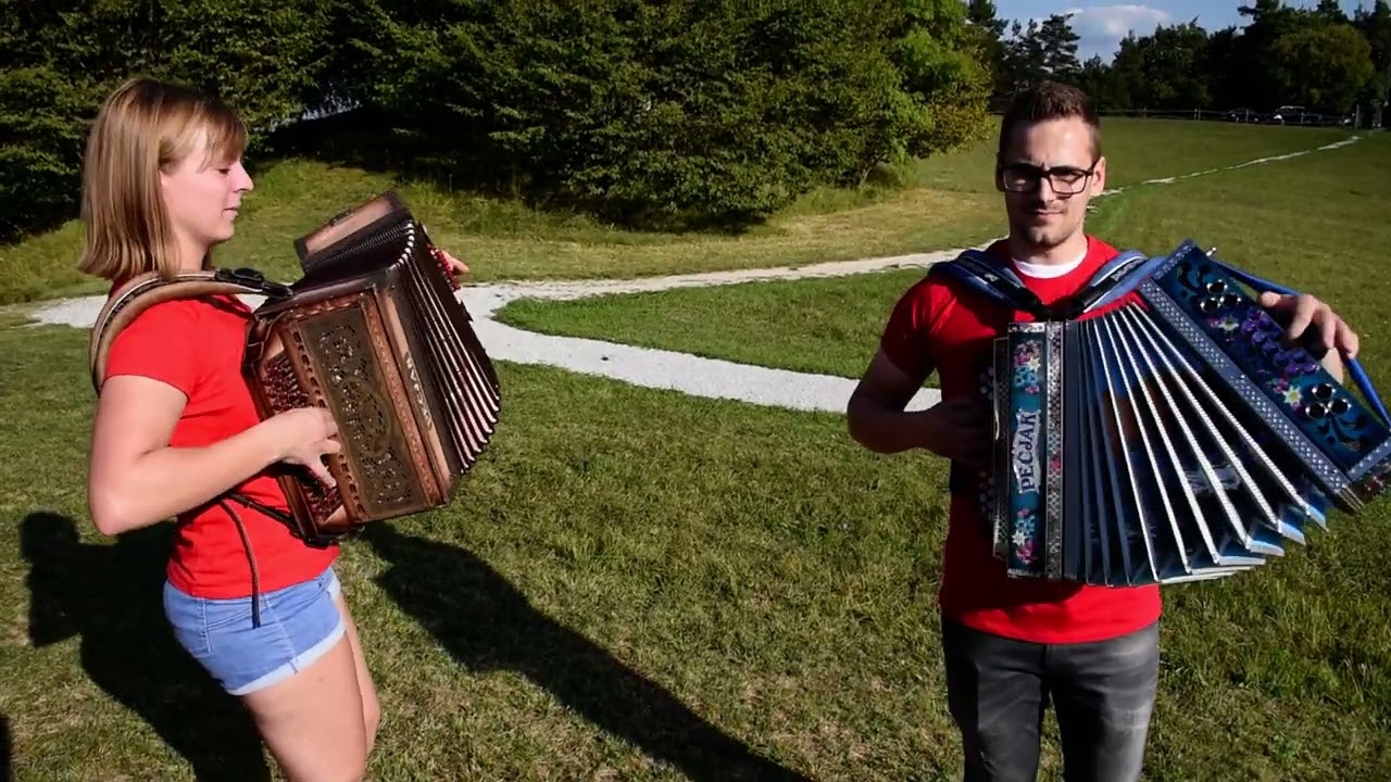 Ples komarjev, ansambel Nika Zajca!