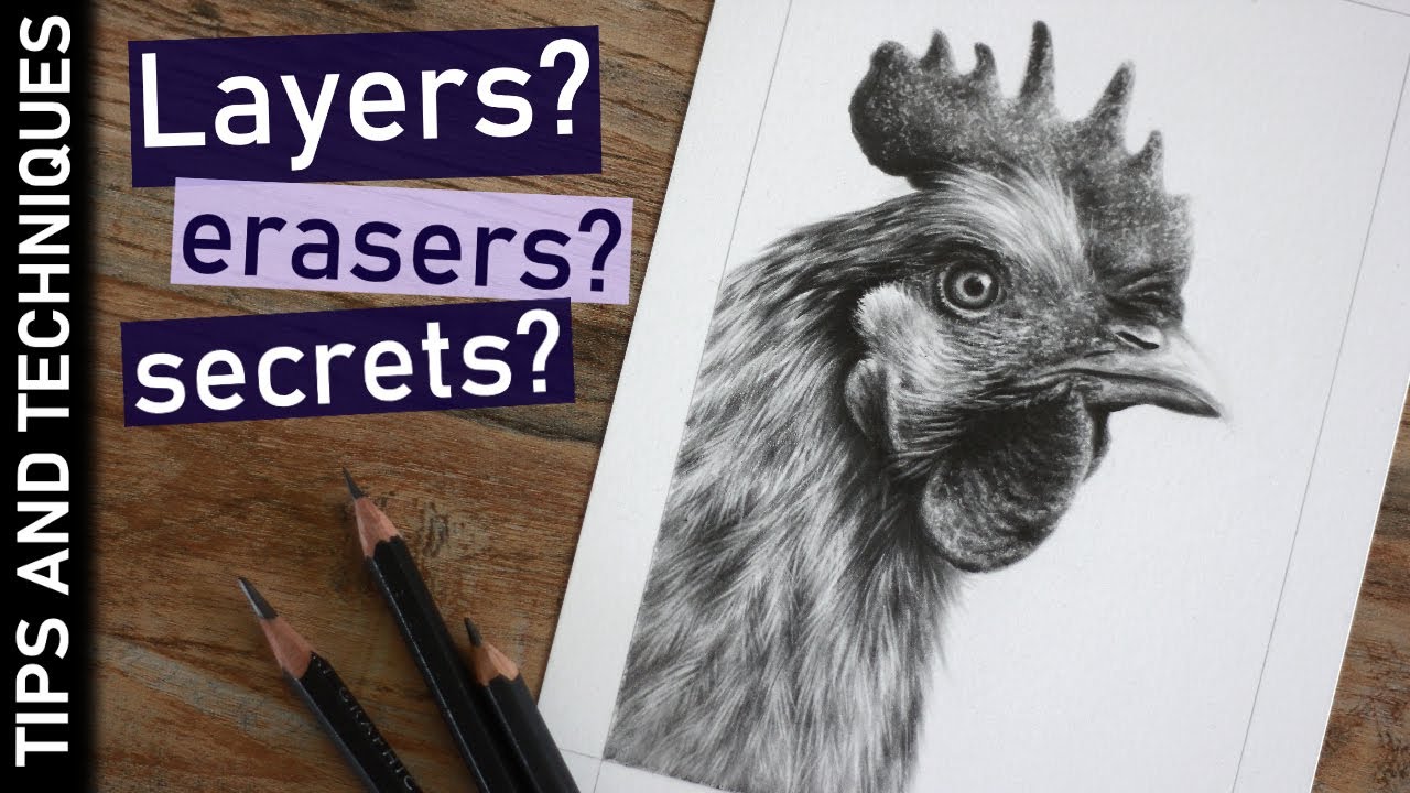 What matters when drawing realism? | Chicken graphite drawing