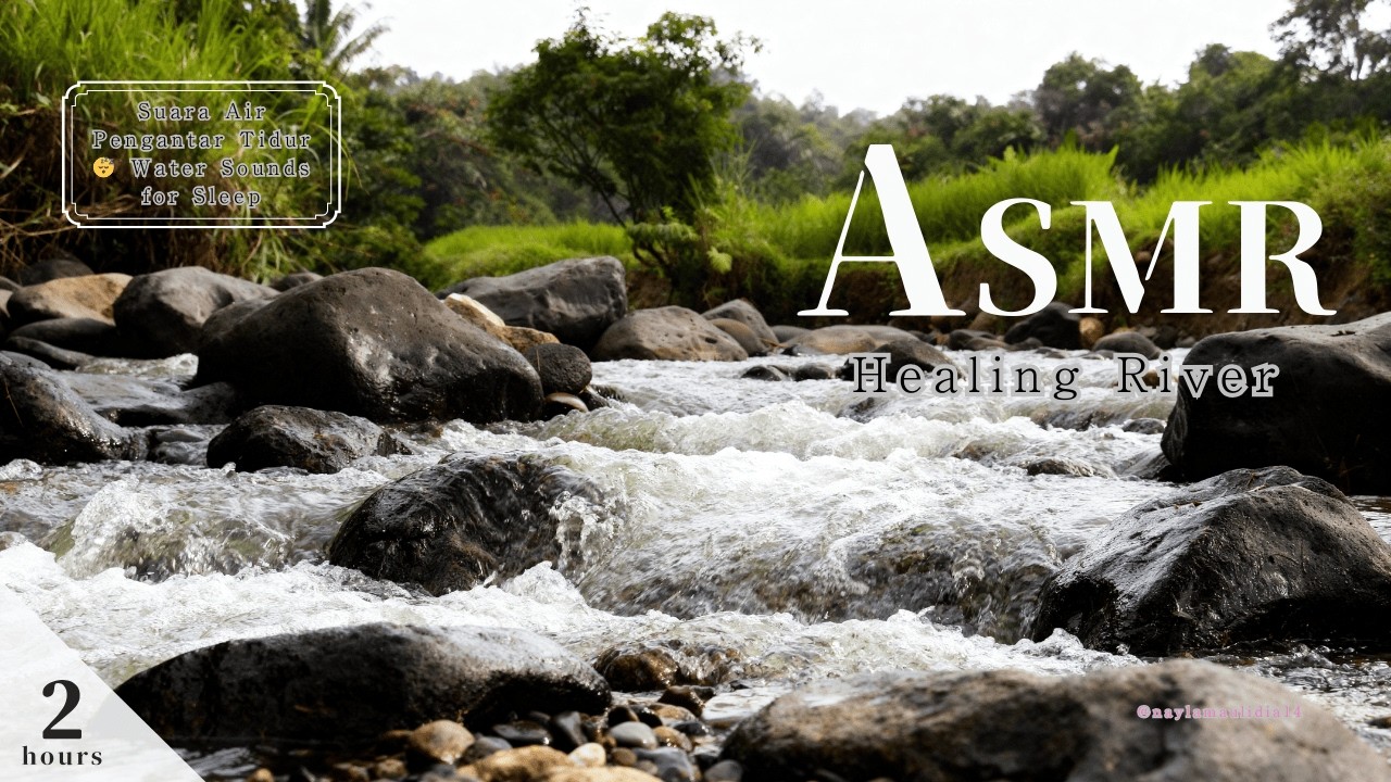 Suara Alam Murni: Aliran Air & Hutan 🌲 Pure Nature: Stream & Forest Ambience