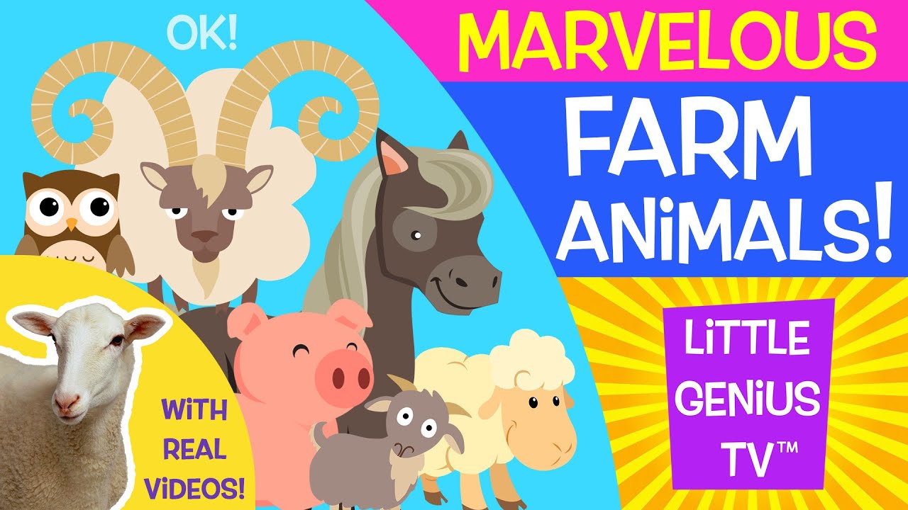 Farm Animals! | videos for babies, toddlers, kids | Little Genius TV&trade;
