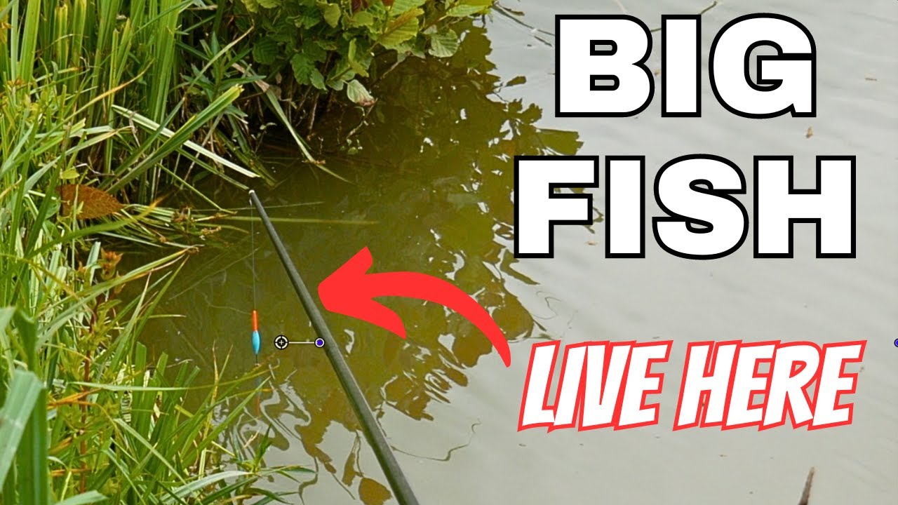 MARGIN MADNESS!!! CARP FISHING on the POLE + FISHING HOLIDAY GIVEAWAY!!!