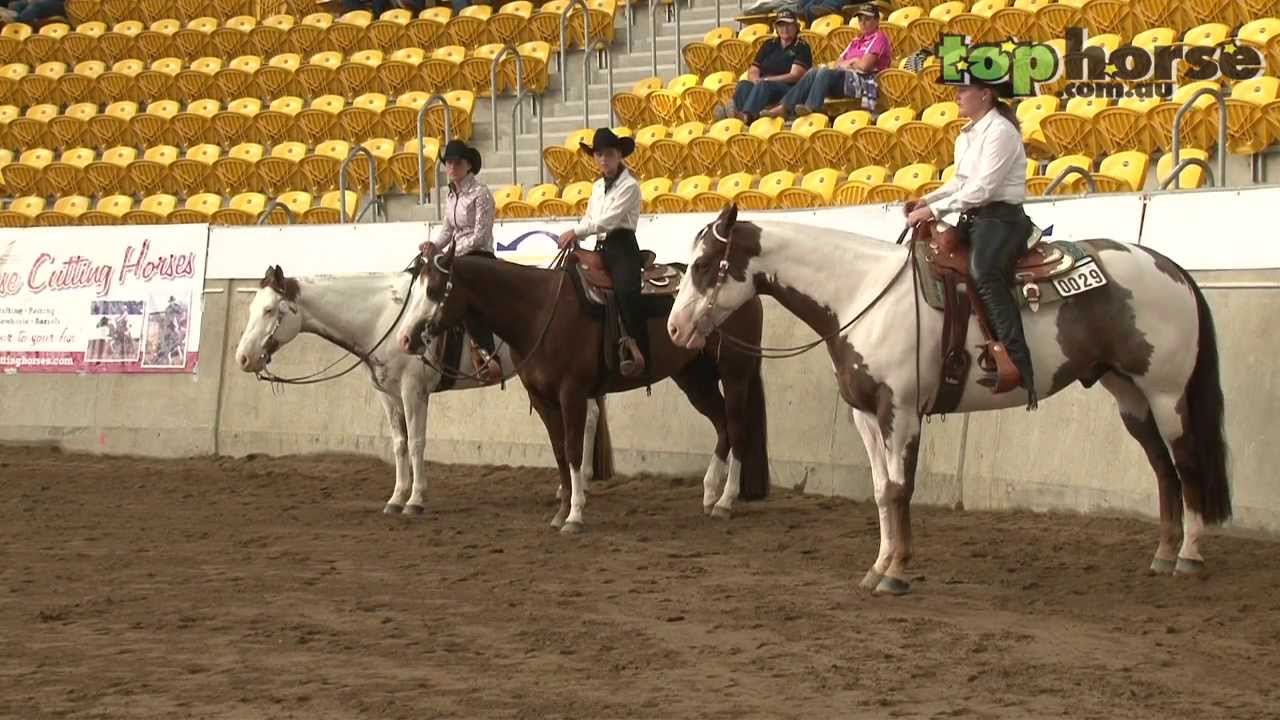 PHAA National Championship Show 2013 - 4YO Trail Horse