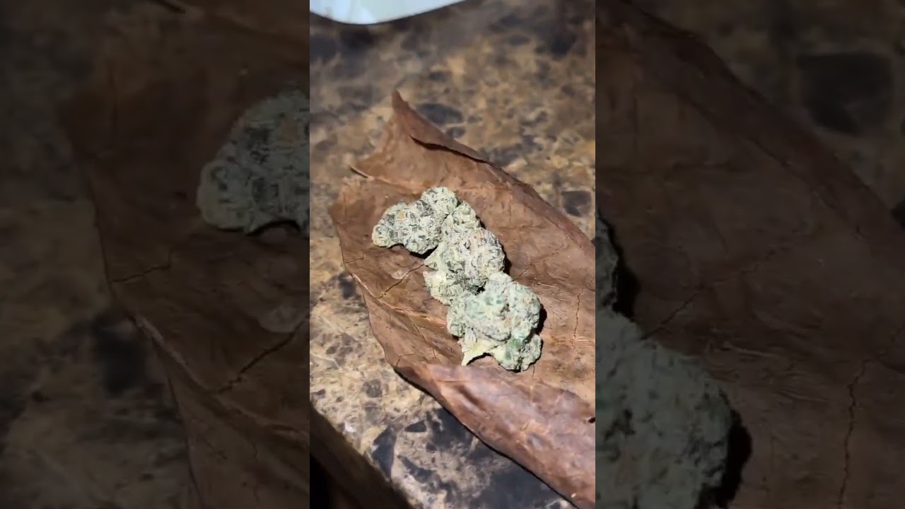 (Oakfruitland) LA Pop Rocks X Purple Push Pop #pack #zaza #fulcrum