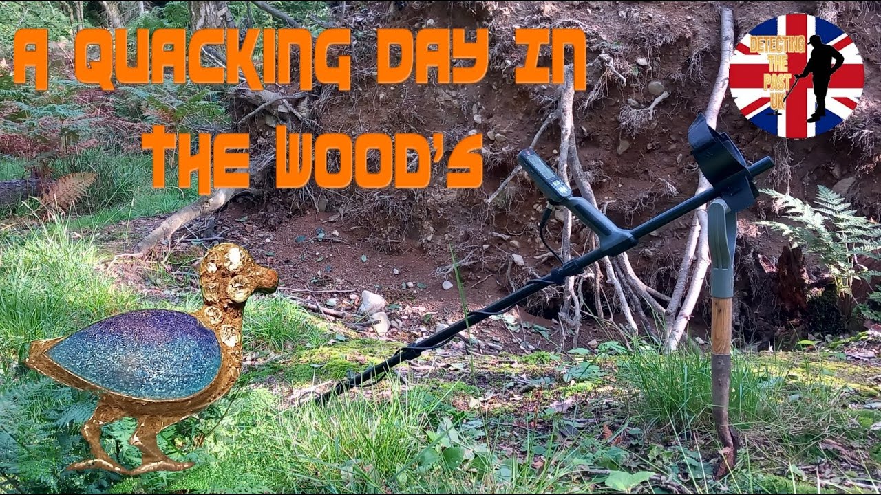 Metal Detecting UK | A Quacking Good Day Metal Detecting In The Woods / Minelab Equinox