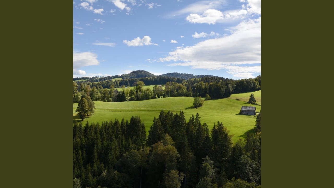 The Evergreen Oasis