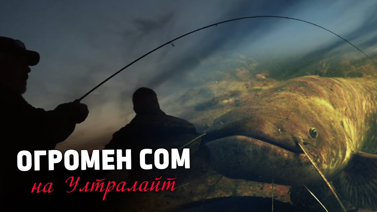 ОГРОМЕН СОМ на ултралайт... / Дунавски РАСПЕРИ на спининг  - 2 част
