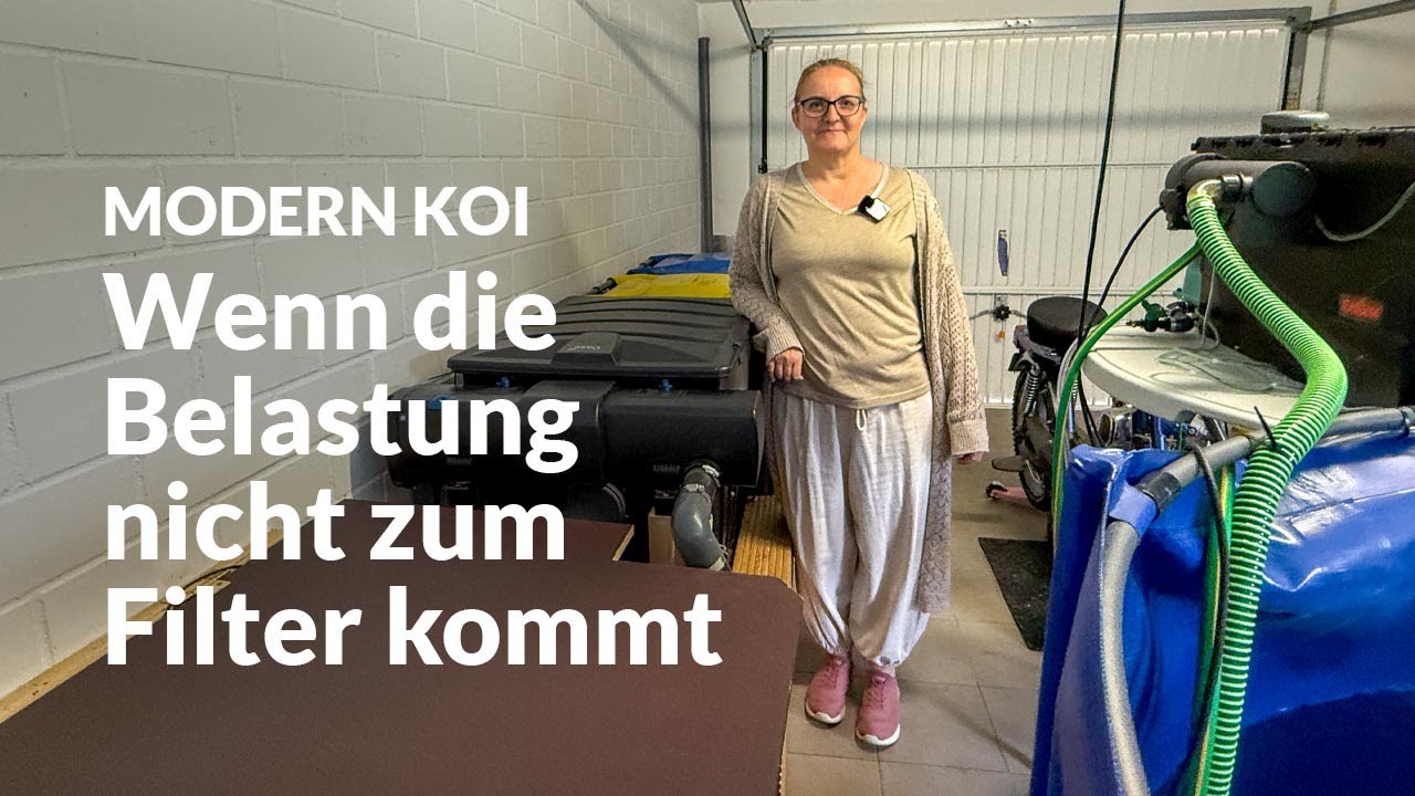 Janas Filteranlage: stark gebaut, aber unterversorgt | Modern Koi Blog #7821