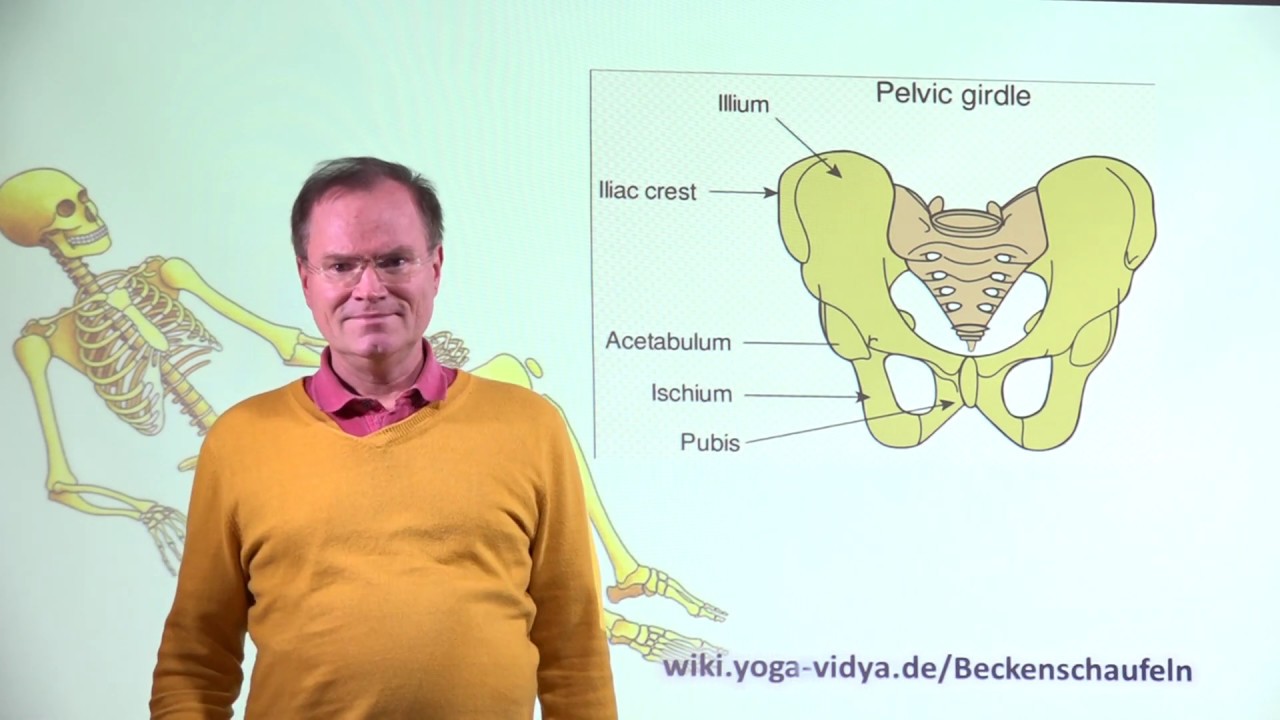 Beckenschaufeln - Anatomie und Physiologie