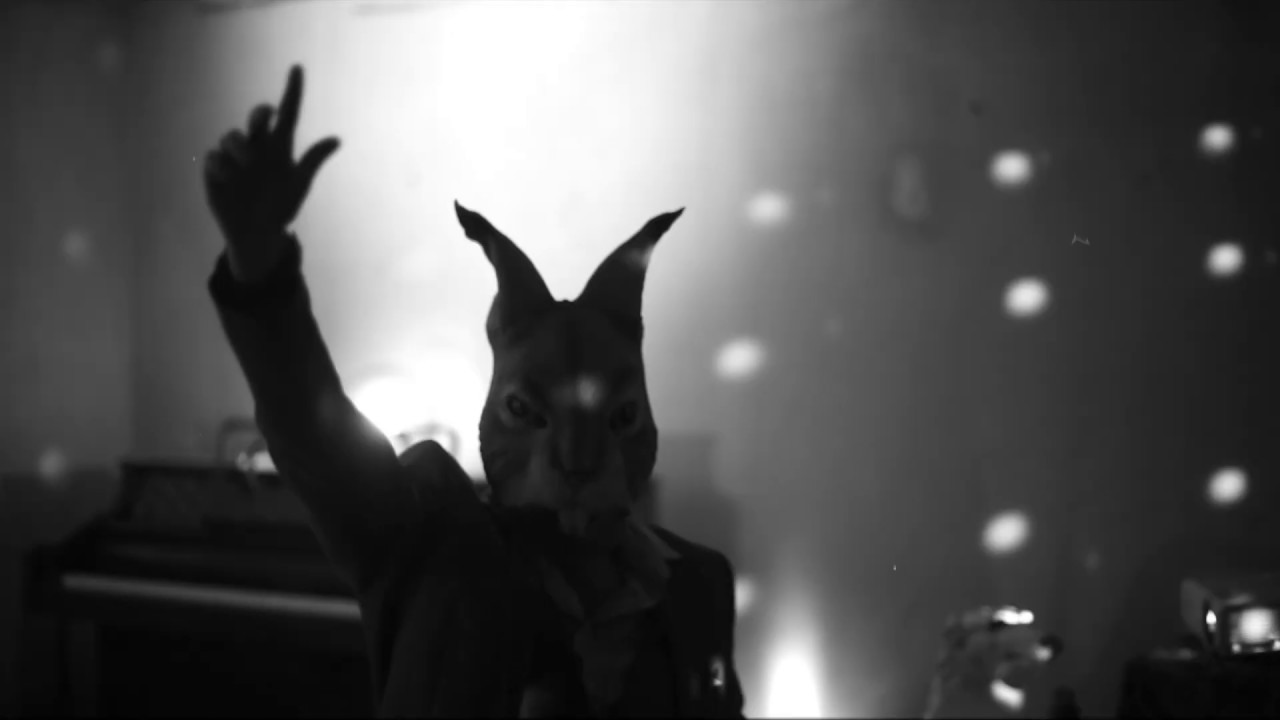 Distant Animals: Live at the Rosehill, 2019