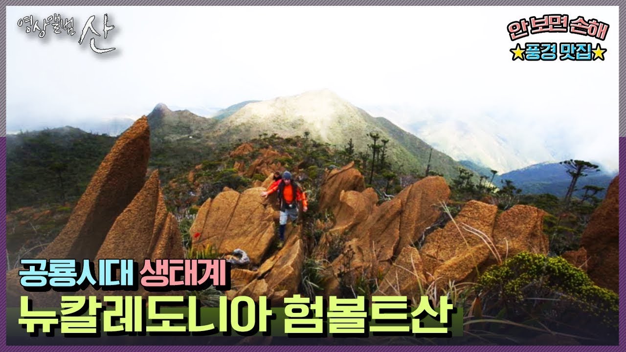 [영상앨범산] 섬 전체의 60%가 유네스코 세계자연유산! 뉴칼레도니아 산행 | &ldquo;천상의 섬 신비의 숲 뉴칼레도니아 험볼트산&rdquo; (KBS 131027 방송)