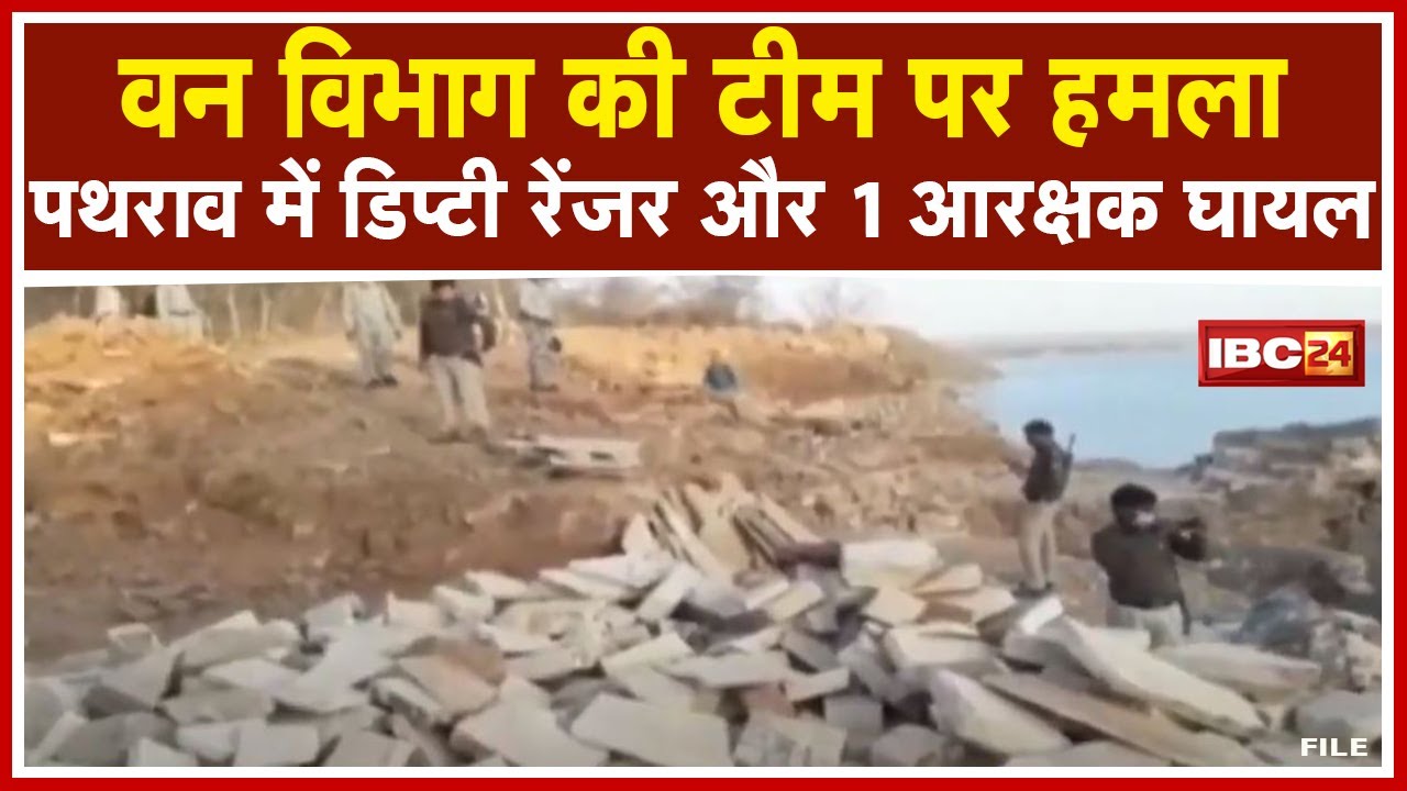 Gwalior News MP : Forest Department की Team पर हमला | पथराव में Deputy Ranger और 1 आरक्षक घायल