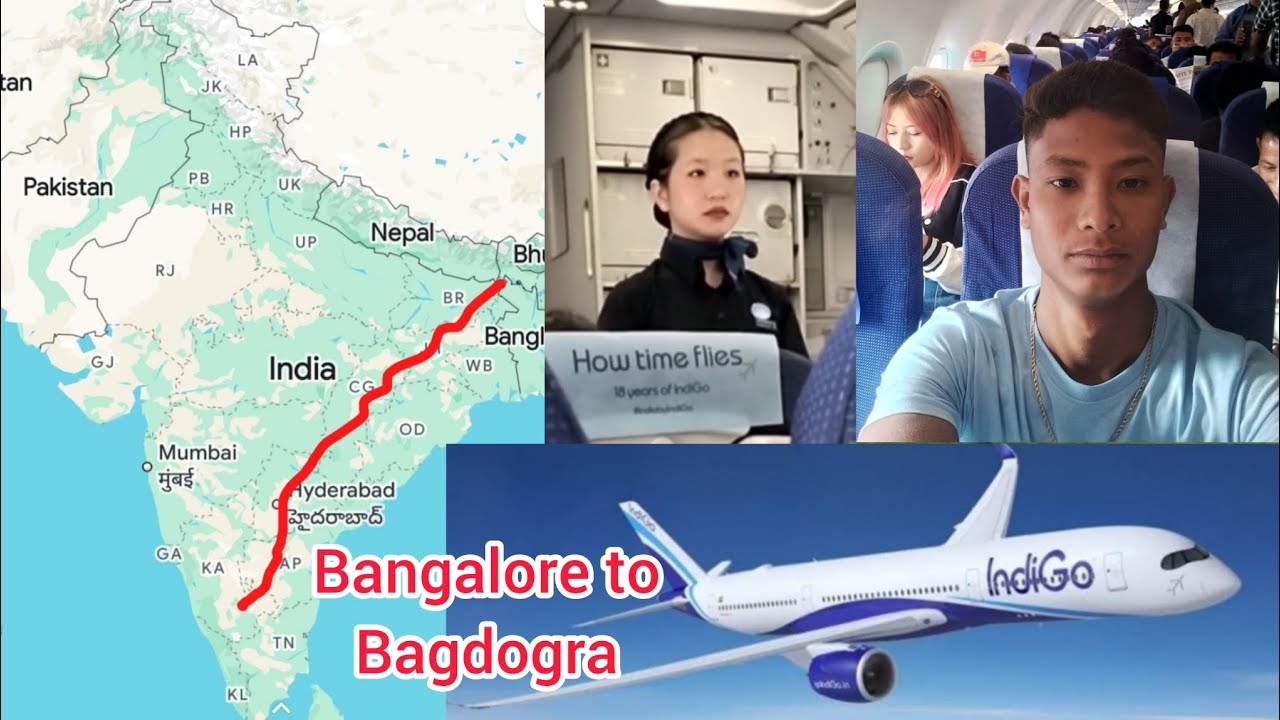 Bangalore to Bagdogra west bengal flight ? বাগডোগরা টু ব্যাঙ্গালোর বিমান ? Dulal Singha vlogs