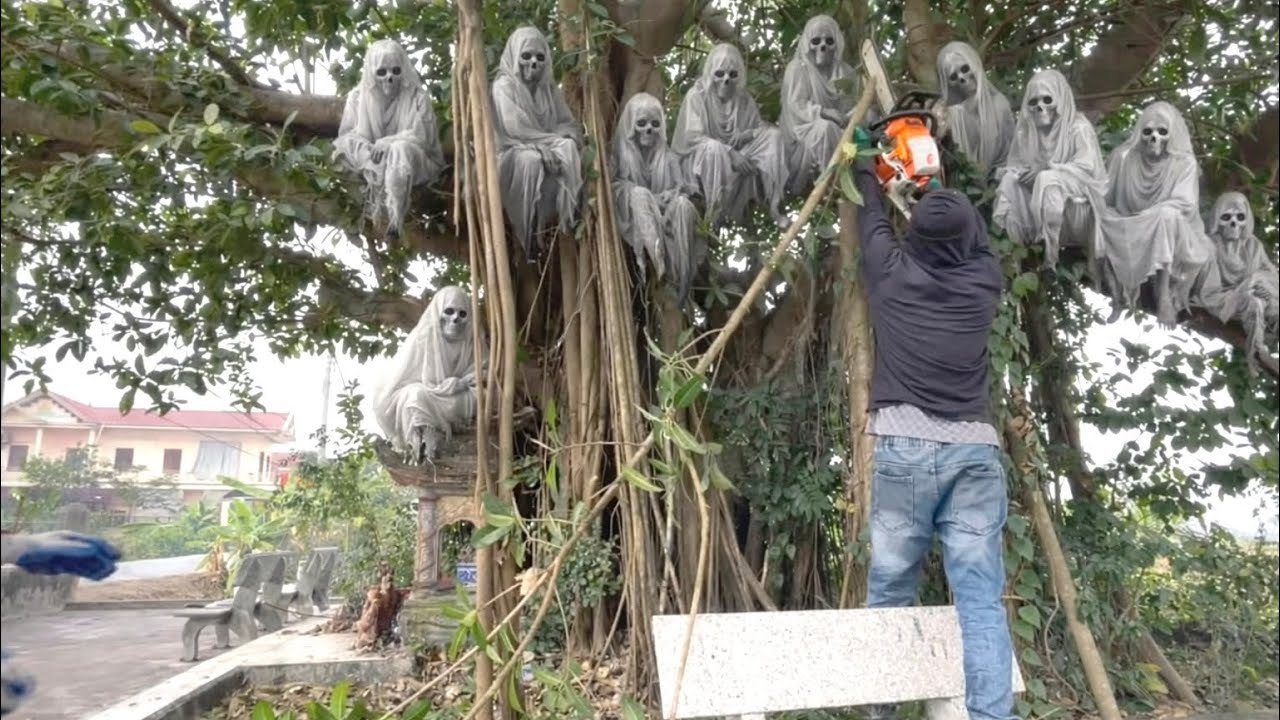 We Were Shocked Cleaning a Mass Grave of 400+ People Hidden Beneath This Tree! 😱