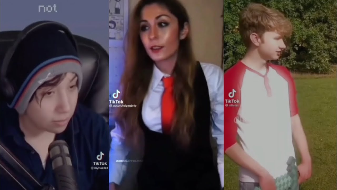 mcyt tiktoks that were meant to be