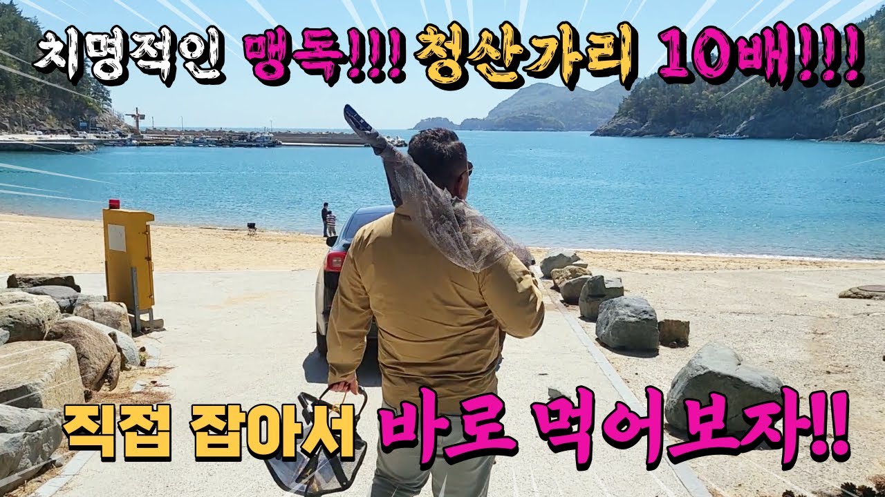 치명적인 맹독 청산가리 10배!! 목숨 걸고(?) 직접 잡아서 바로 쫄복? 복어? 먹어보았습니다!!