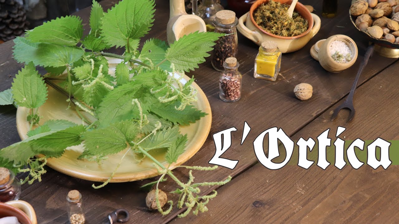 L'Ortica: proprietà ed usi nel Medioevo