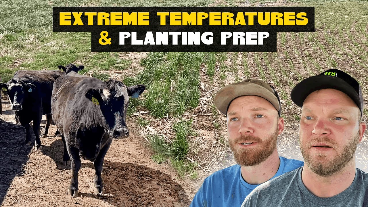 Extreme Temperatures | Planting Prep | Cattle Adventures!